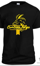 Load image into Gallery viewer, Short Sleeves T-shirt for Women
